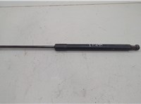  Амортизатор капота Volkswagen Passat 6 2005-2010 20598619 #2