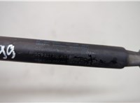  Амортизатор капота Volkswagen Passat 6 2005-2010 20598619 #3