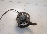 A2093300325, A2043320201 Ступица (кулак, цапфа) Mercedes C W203 2000-2008 20598738 #1