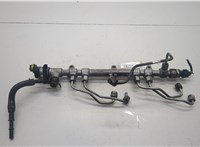  Рампа (рейка) топливная KIA Carnival 2006-2014 20600180 #1