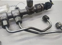  Рампа (рейка) топливная KIA Carnival 2006-2014 20600180 #3