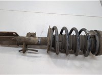 31316764600 Амортизатор подвески BMW X5 E53 2000-2006 20601326 #1