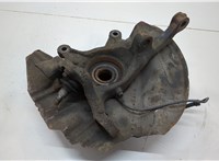 31206756256, 31216761575 Ступица (кулак, цапфа) BMW X5 E53 2000-2006 20601369 #1
