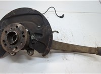 A1643560201, A2513301320 Ступица (кулак, цапфа) Mercedes R W251 2005-2017 20601533 #1