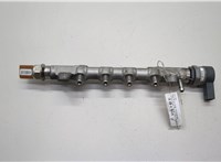  Рампа (рейка) топливная Volkswagen Tiguan 2011-2016 20601555 #1