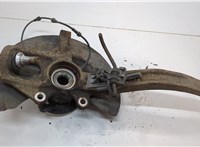 A1643560201, A2513301420 Ступица (кулак, цапфа) Mercedes R W251 2005-2017 20601606 #2