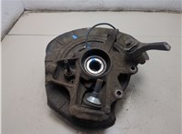 A1643560201 Ступица (кулак, цапфа) Mercedes R W251 2005-2017 20601787 #5
