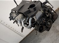 926009F511 Компрессор кондиционера Nissan Primera P12 2002-2008 11501188 #6