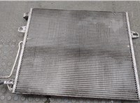  Радиатор кондиционера Mercedes ML W164 2005-2011 20602031 #2