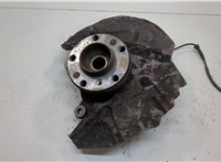 31206756256, 31216761576 Ступица (кулак, цапфа) BMW X5 E53 2000-2006 20602213 #1