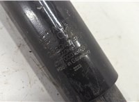 23804796 Амортизатор подвески Renault T 2013-2022 20602244 #2