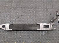  Радиатор масляный Mercedes ML W164 2005-2011 20602315 #1