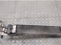  Радиатор масляный Mercedes ML W164 2005-2011 20602315 #3