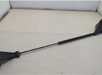 504049432 Амортизатор капота Iveco EuroCargo 3 2015-2025 20602777 #1