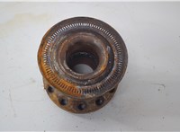 Ступица (кулак, цапфа) Iveco EuroCargo 3 2015-2025 20603233 #1