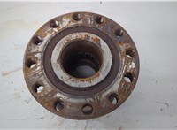 Ступица (кулак, цапфа) Iveco EuroCargo 3 2015-2025 20603233 #4