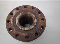 Ступица (кулак, цапфа) Iveco EuroCargo 3 2015-2025 20603287 #1