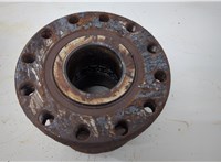 Ступица (кулак, цапфа) Iveco EuroCargo 3 2015-2025 20603315 #1