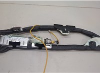 1491813 Подушка безопасности боковая (шторка) Ford Focus 2 2008-2011 20603346 #3