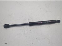 654703JA0A Амортизатор капота Infiniti JX 2012-2014 20603920 #1