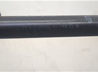 654703JA0A Амортизатор капота Infiniti JX 2012-2014 20603920 #2