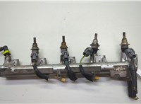 L3K913250A, L3K913150E Форсунка топливная Mazda 3 (BL) 2009-2013 20604820 #1