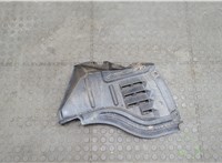 538050C020, 538820C030 Защита арок (подкрылок) Toyota Tundra 2007-2013 20604893 #1