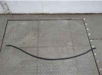  Уплотнитель Honda Element 2002-2011 20604982 #1