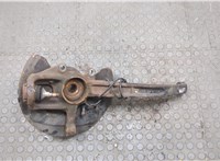 A1643560201, A1643302320 Ступица (кулак, цапфа) Mercedes GL X164 2006-2012 20604999 #1