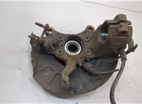 1K0407621F, 1K0407256AA, 1K0615312F Ступица (кулак, цапфа) Volkswagen Touran 2006-2010 20605017 #2