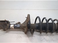  Амортизатор подвески KIA Sportage 2004-2010 20605027 #1