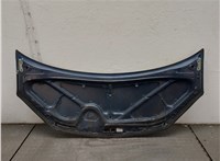 5330128070 Капот Toyota Previa (Estima) 2000-2006 20605042 #9