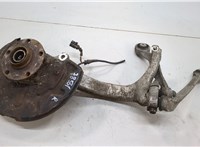  Ступица (кулак, цапфа) Audi A4 (B7) 2004-2009 20605452 #1