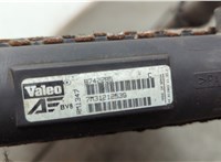 1109113, 1209590 Радиатор охлаждения двигателя Ford Galaxy 2000-2006 20605556 #3