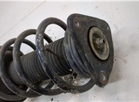 1595291, 1335386 Амортизатор подвески Ford Focus 2 2005-2008 20605578 #2