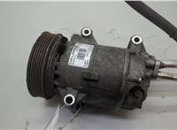  Компрессор кондиционера Renault Megane 2 2002-2009 20605621 #1