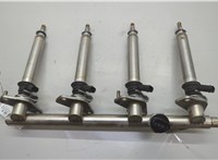  Форсунка топливная Mercedes C W204 2006-2015 20605697 #1