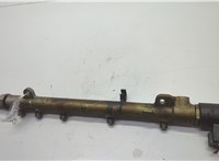  Рампа (рейка) топливная Mercedes E W211 2002-2009 20605722 #1