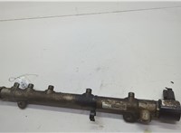  Рампа (рейка) топливная Mercedes E W211 2002-2009 20605722 #4