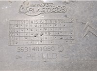 9631481980 Защита арок (подкрылок) Citroen Xsara-Picasso 1999-2012 20606286 #4