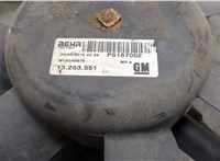 13263551, P6187002 Вентилятор радиатора Opel Corsa D 2006-2014 20606602 #3
