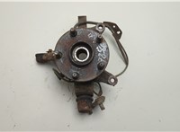 4350242020, 4321142060 Ступица (кулак, цапфа) Toyota RAV 4 2000-2005 20606963 #1
