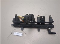  Форсунка топливная Citroen Xsara 2000-2005 20607357 #1