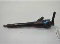  Форсунка топливная Hyundai Tucson 1 2004-2010 20608575 #1