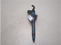 13537810702 Форсунка топливная BMW 5 F10 2010-2017 20609490 #1