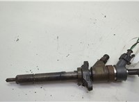  Форсунка топливная Ford Focus 2 2008-2011 20610176 #1