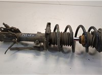 2037974, 1766930 Амортизатор подвески Ford Fiesta 2012-2019 20611471 #1
