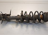 2037969, 1766930 Амортизатор подвески Ford Fiesta 2012-2019 20611474 #1