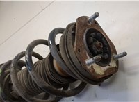 2037969, 1766930 Амортизатор подвески Ford Fiesta 2012-2019 20611474 #2