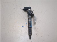 1660000Q1F Форсунка топливная Nissan Juke 2010-2019 20612029 #9